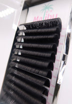 Fast Fanning Tray