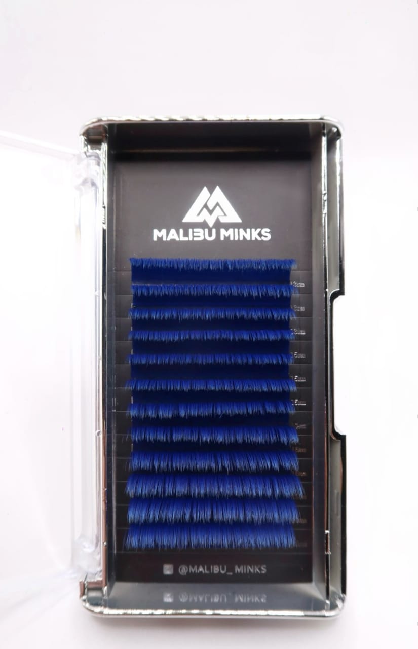 Navy Blue Fast Fan (not restocking)